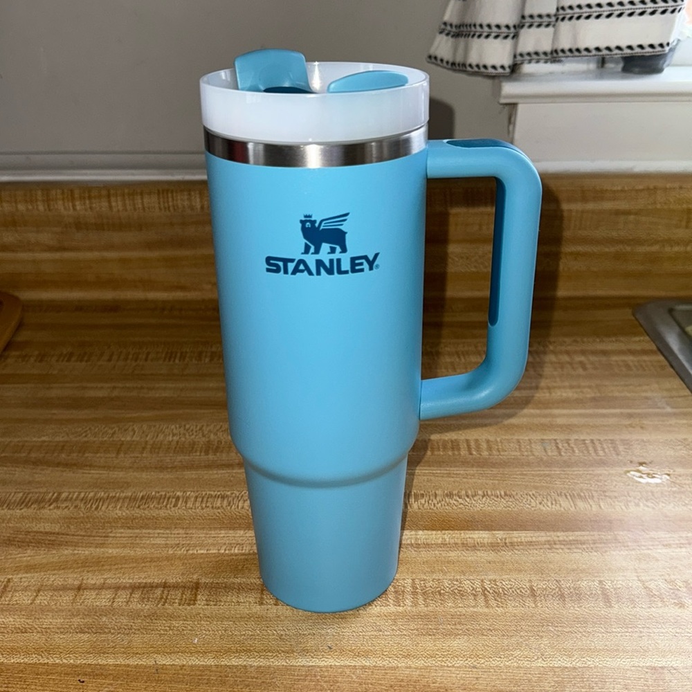 30oz Stanley - POOL